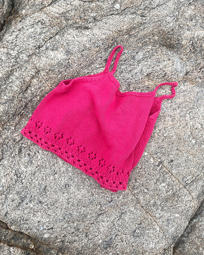 CAPRI top